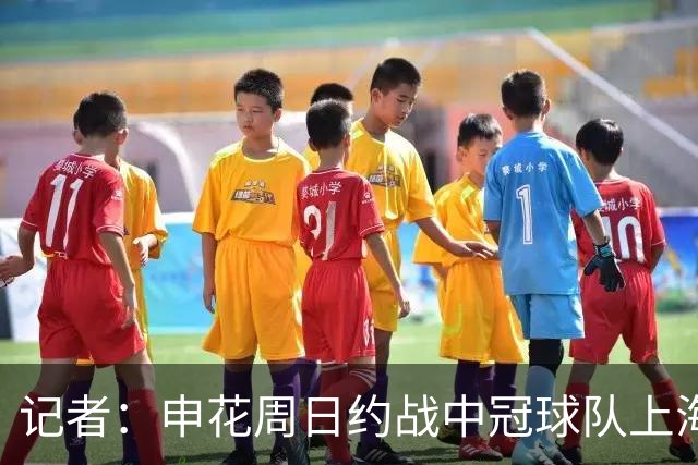 记者：申花周日约战中冠球队上海泽天，对手实力不强但非常合适